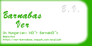 barnabas ver business card